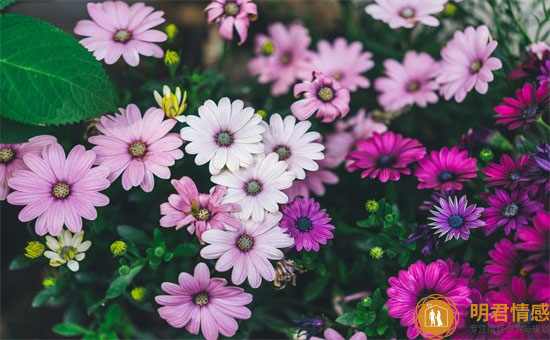 重阳节祝福长辈的话语,重阳节写给老人的话