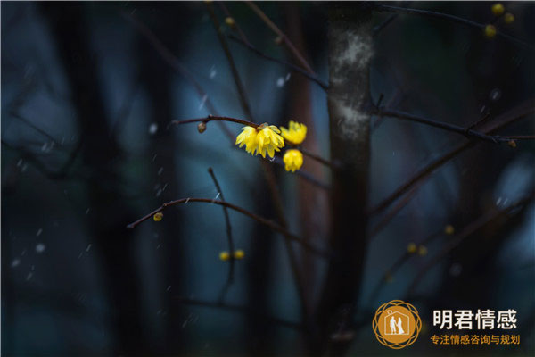 中秋节对女朋友说的情话,中秋节对老婆说的暖心话