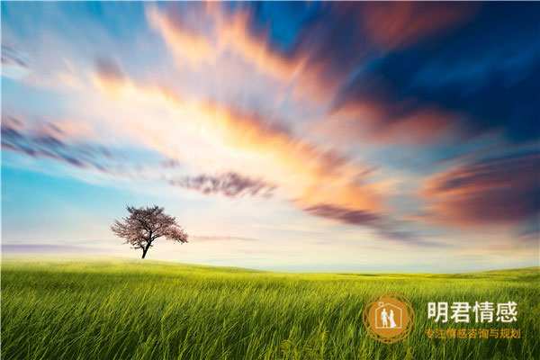 关于陪伴是最长情的告白句子,陪伴是最长情的告白签名