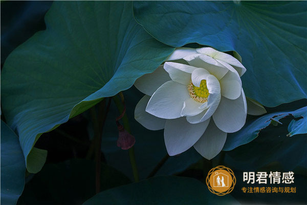 写给女朋友的情书,撩女朋友的情话甜炸了