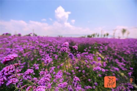 如何挽留爱人,这些方法帮助你挽回失去的爱