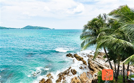 很甜很撩的句子,甜到炸的高级情话句子 很甜很撩的句子,甜到炸的高级情话句子