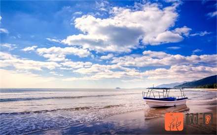 用高情商表达我想你,如何向女生表达想她了