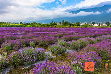高情商哄生气女友,试试这三个方法哄她开心