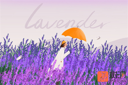 圣诞节送女朋友什么礼物比较有惊喜