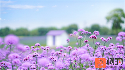 已婚女人出轨的表现,这四个迹象很明显