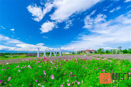 女神节快乐祝福语简短,女神节文案暖心短句